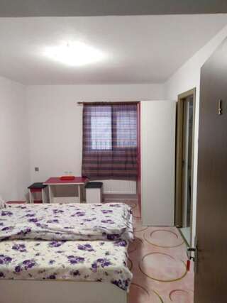 Проживание в семье Casa Milos Бэиле-Еркулане Cемейный номер с собственной ванной комнатой-16